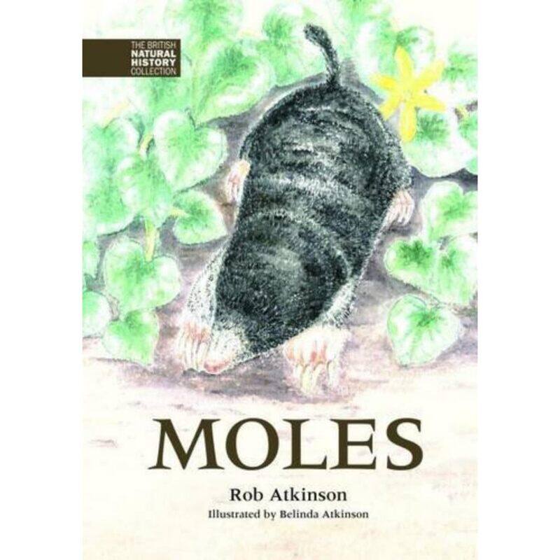 

Moles