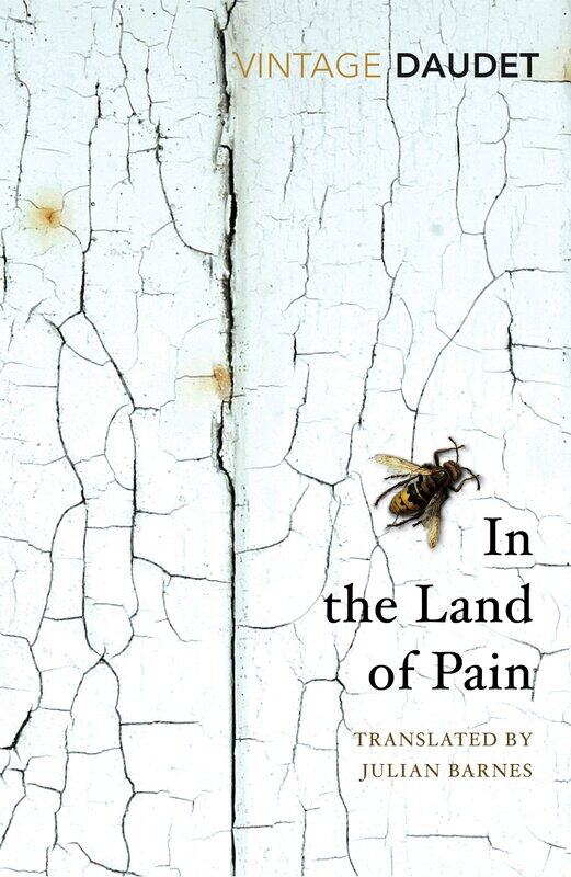

In the Land of Pain