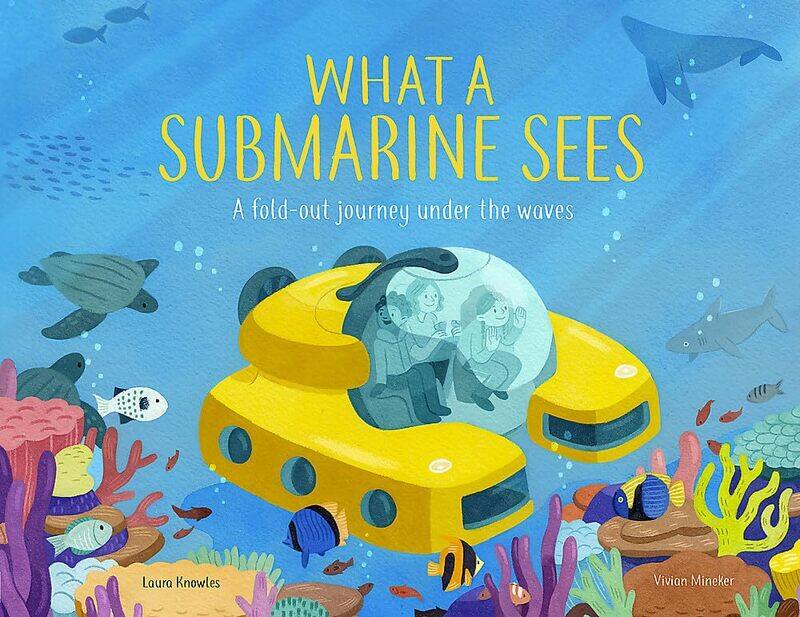 

What a Submarine Sees