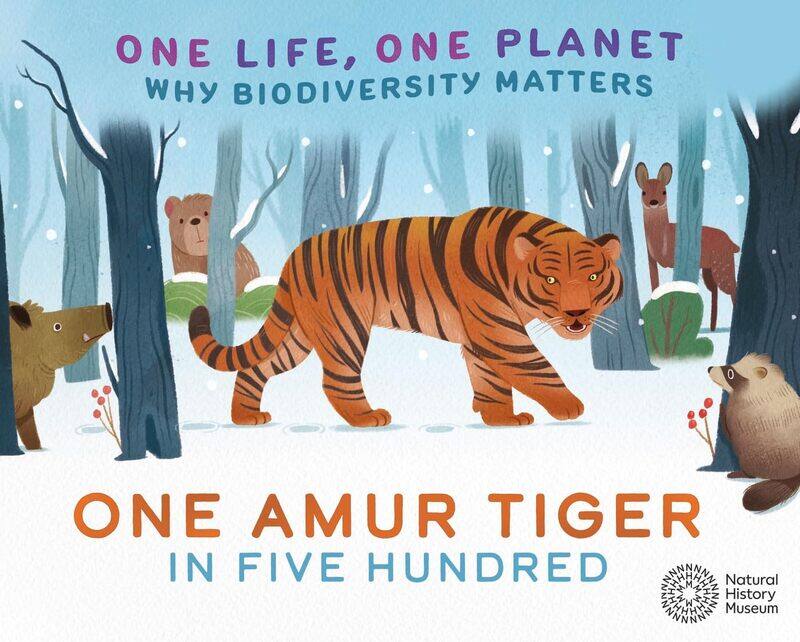 

One Life, One Planet: One Amur Tiger in Five Hundred: Why Biodiversity Matters