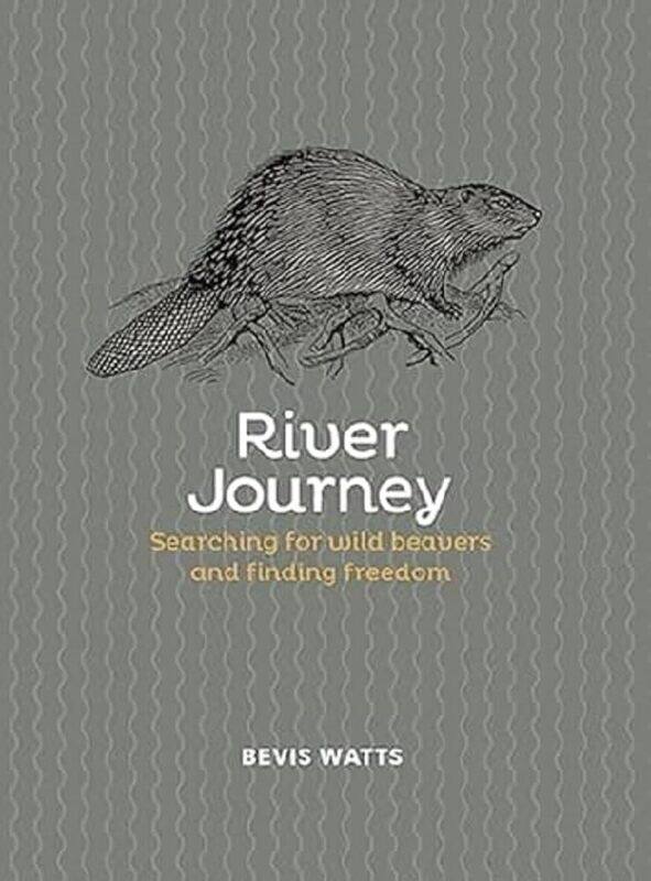 

River Journey: Searching For Wild Beavers And Finding Freedom