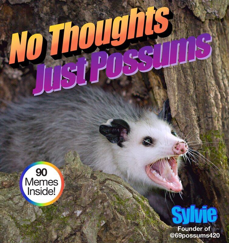

No Thoughts Just Possums