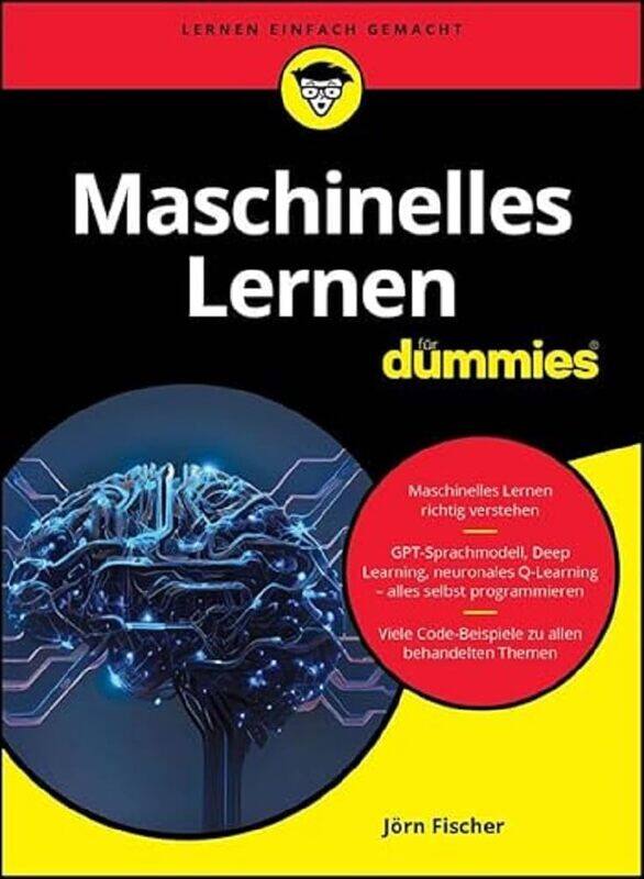 

WILEY Maschinelles Lernen fur Dummies