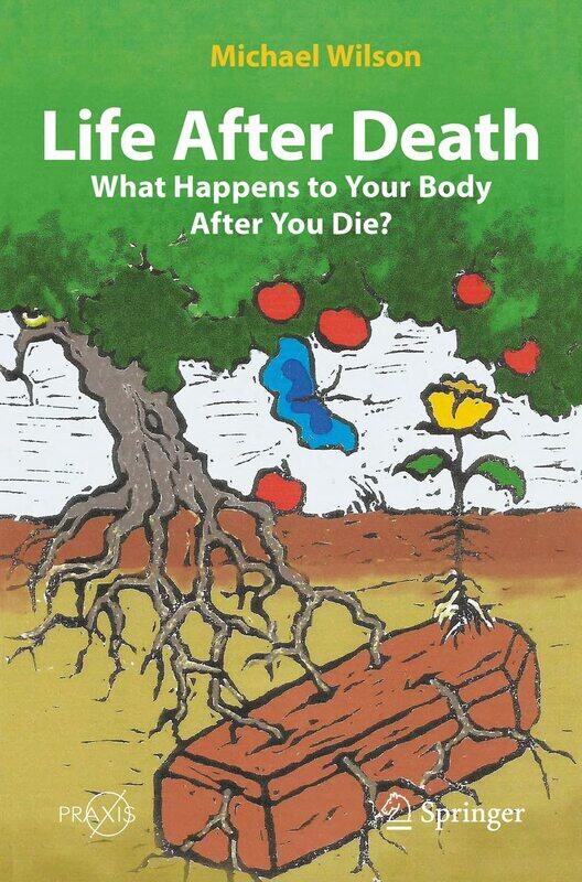 

Life After Death: What Happens to Your Body After You Die