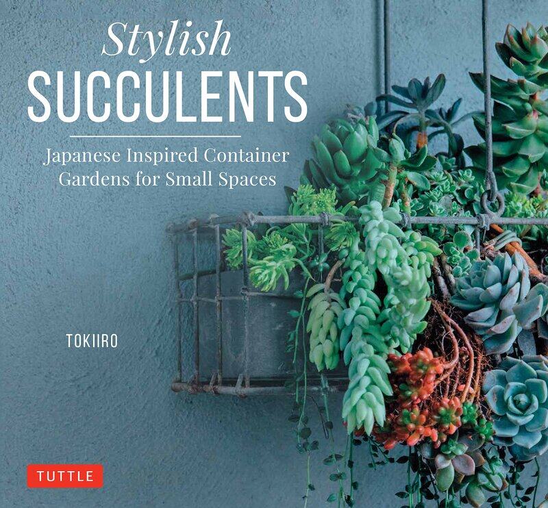 

Stylish Succulents: Japanese Inspired Container Gardens for Small Spaces