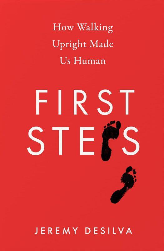 

First Steps: How Walking Upright Made Us Human
