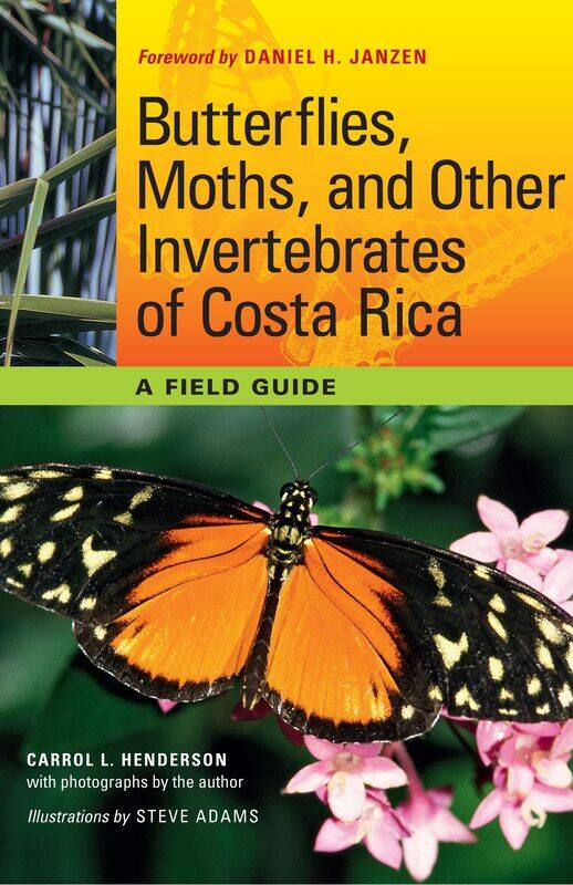 

Butterflies, Moths, and Other Invertebrates of Costa Rica: A Field Guide