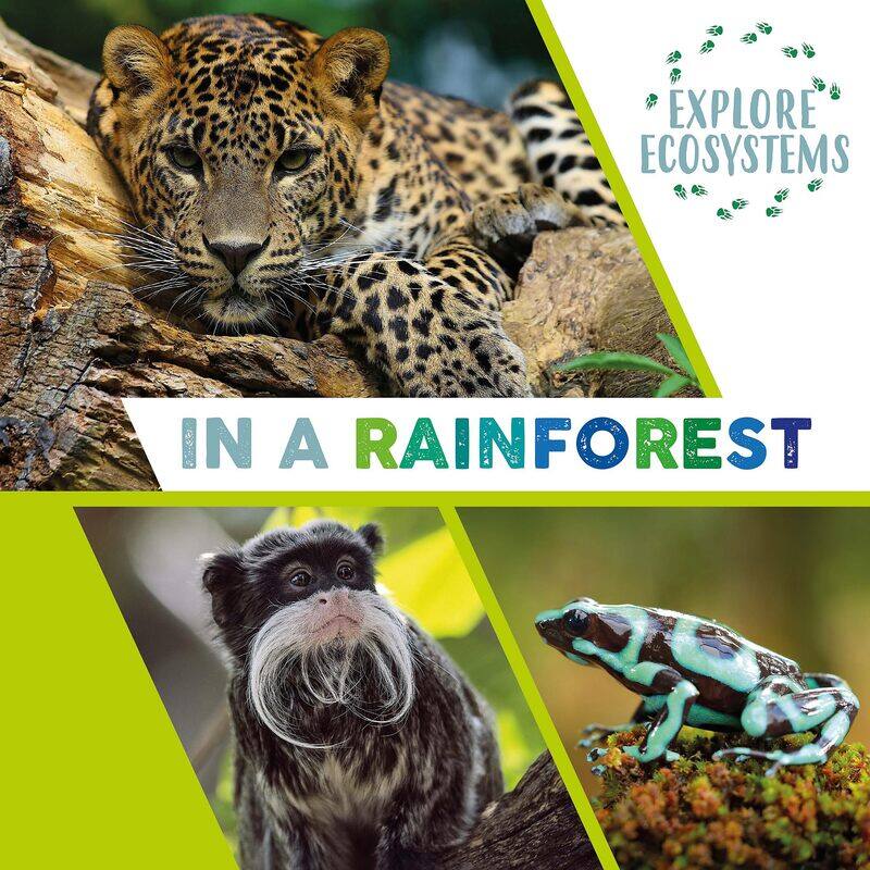 

Explore Ecosystems: In a Rainforest
