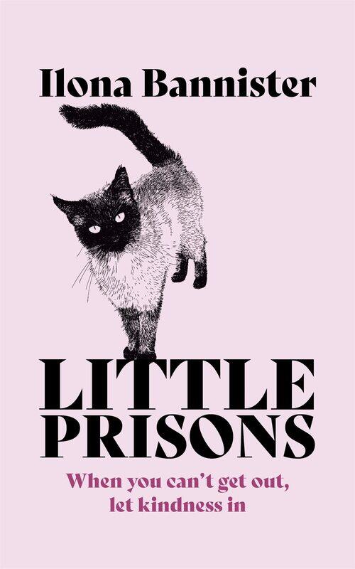 

Little Prisons