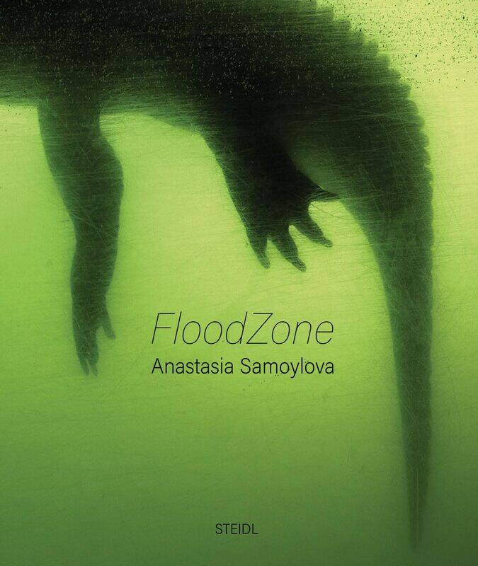 

Anastasia Samoylova: FloodZone