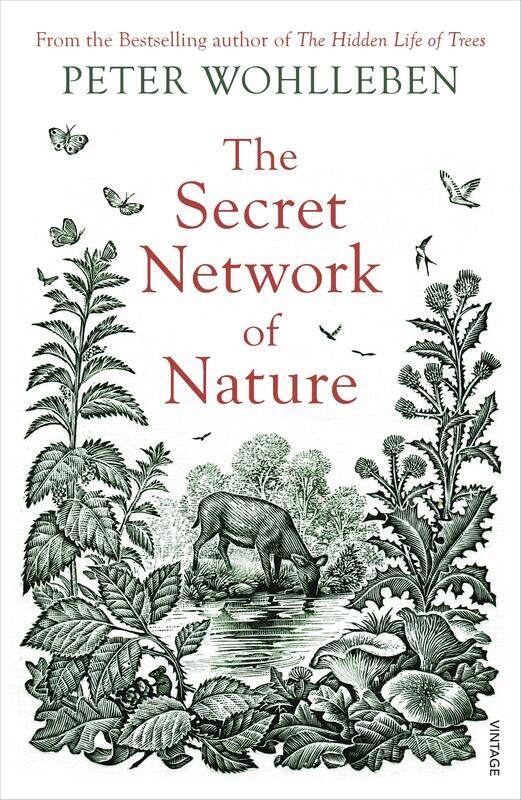 

The Secret Network of Nature: The Delicate Balance of All Living Things