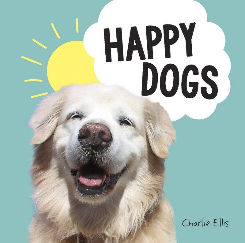 

Happy Dogs