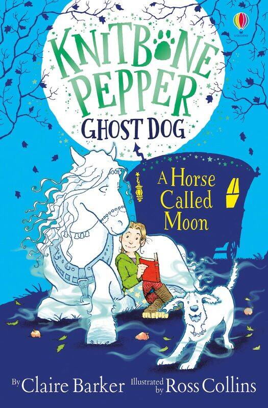 

Usborne A Horse called Moon