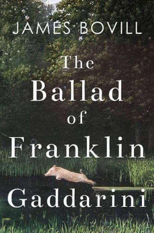 

The Tale of Franklin Gaddarini