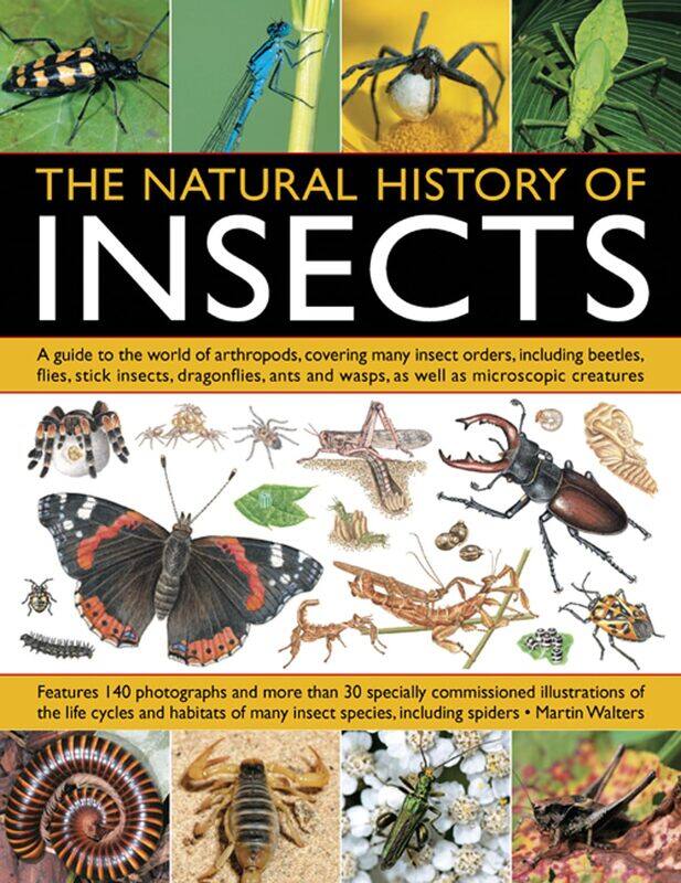 

Natural History of Insects