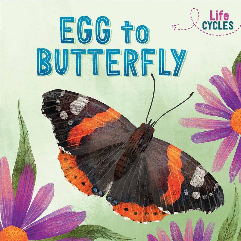 

Egg to Butterfly (Life Cycles)