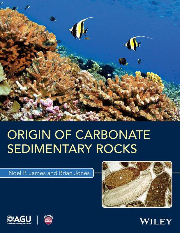 

Origin of Carbonate Sedimentary Rocks