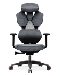 Astron Gaming Chair - Premium Ergonomic Gaming Chair with Multi-Functional Mechanism, Headphone Hanger, Carbon Fiber Textured Frame and Adaptive Shoulder & Lumber Support (Red)