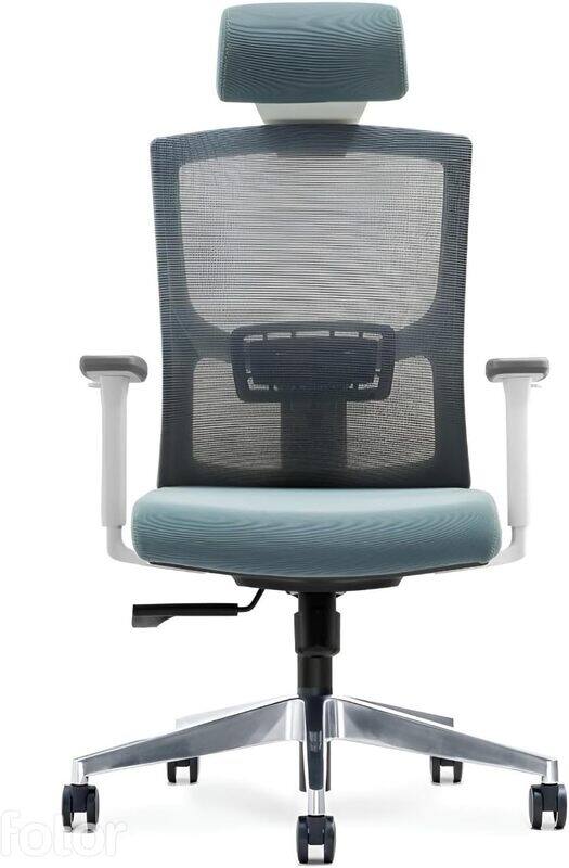 

WORKSPACE Newman Home Office Chair Stylish Ergonomic Executive Office Chair with Multi - Function Mechanism for Comfortable Workspace (Cool Blue)