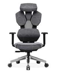 Astron Gaming Chair - Premium Ergonomic Gaming Chair with Multi-Functional Mechanism, Headphone Hanger, Carbon Fiber Textured Frame and Adaptive Shoulder & Lumber Support (Chrome)