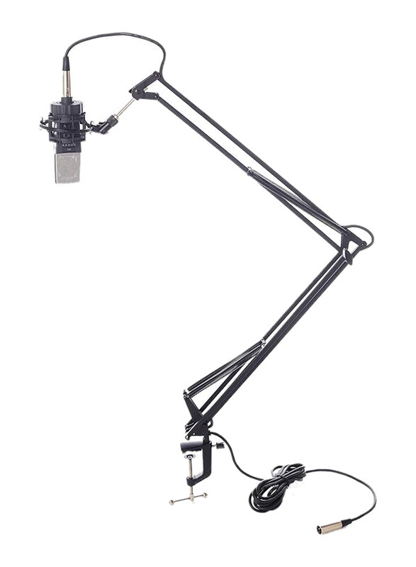 

Bespeco Broadcast Mic Stand, MSRA10, Black