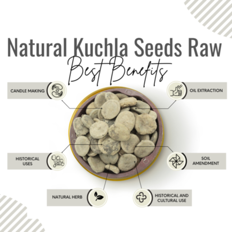 AWAFI MILL Natural Kuchla Seeds Raw - Premium Quality - Authentic Ingredient - Ideal for Traditional Uses and Crafting - Sourced from Nature (Bottle of 50 gram / 1.7 Oz)