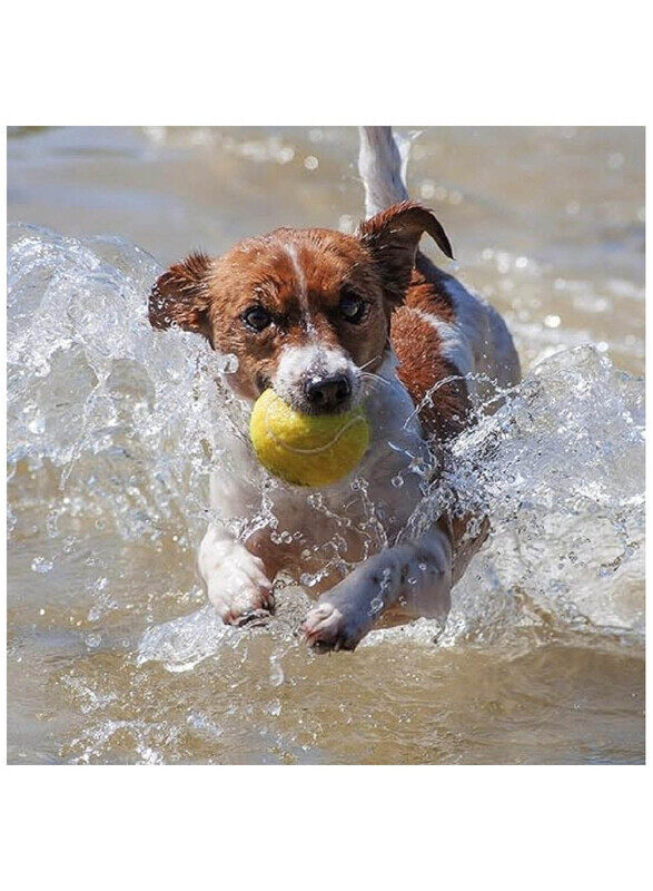 

Generic Lightweight Ball for Dogs, 12 Pieces, Yellow
