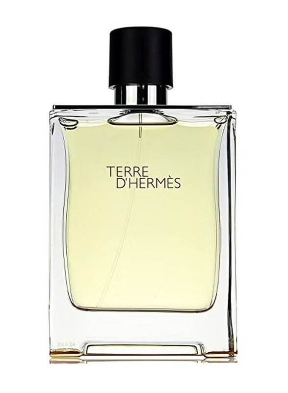 Hermes Terre D'Hermes 100ml EDT for Men