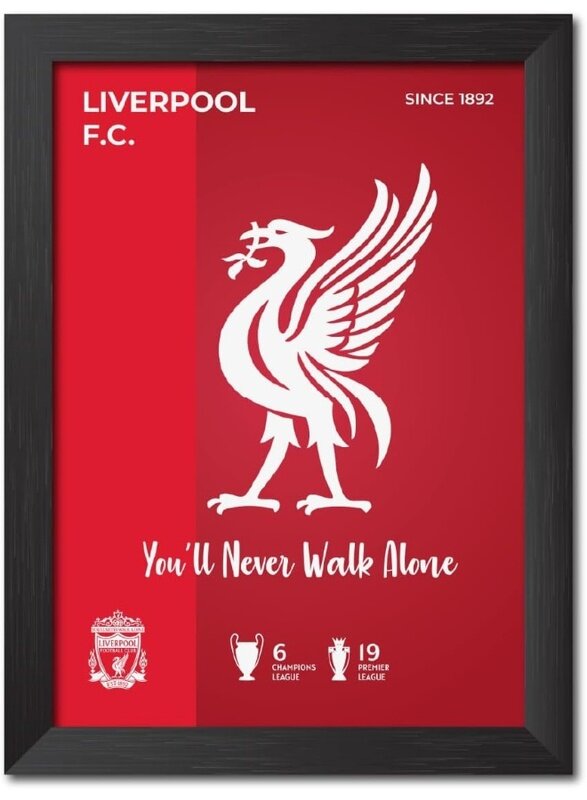 

Home Trove Liverpool FC White River Bird 3D Textured Logo Football Club Laminated Poster Framed Paintings with Matt finish Redesigned with Thick Textu