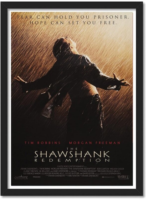 

Home Trove Artificial Wood Shawshank Redemption Movie Poster Frame (10 x 13 Inch, Multicolour)
