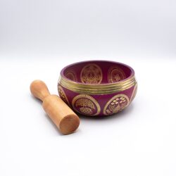 Authentic Himalayan Vibrant Handcrafted Five Buddha Singing Bowl Single Set with Traditional Wooden Striker, Multicolour