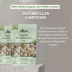 اللبان Boswellia Carterii الراتنج