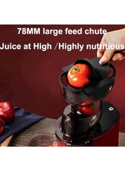 Masticating Juicer with Whole Slow Juicer, 300W, Red