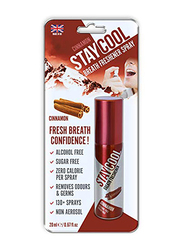 Staycool Cinnamon Flavour Mouth Freshener Blister Pack, 20ml