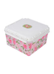 Plastic Storage Box, 5 Pieces, Multicolour