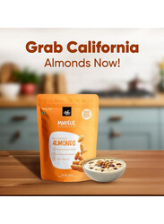 Export Premium California Almonds Improve Brain Function Crunchy And Tasty Almonds Healthy Snacks For Diet California Almonds500gm