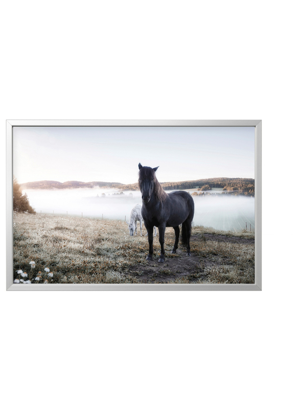 Picture with frame, grazing horses/aluminium-colour, 118x78 cm