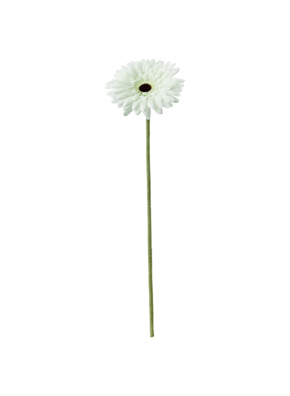 

Smycka Artificial flower, Gerbera/white, 50 cm