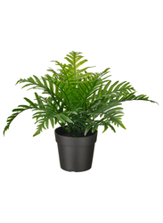 Artificial potted plant, in/outdoor Whitley Giant, 9 cm