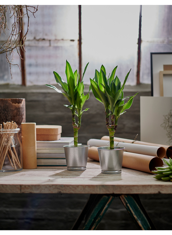 Plant pot, galvanised, 9 cm