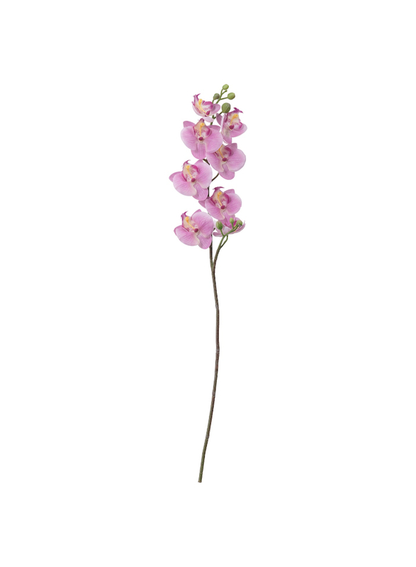 

Smycka Artificial flower, Orchid/pink, 60 cm