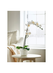 Artificial potted plant, Orchid white, 12 cm