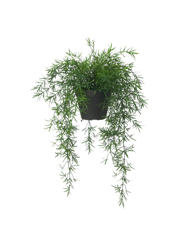 

FEJKA Artificial potted plant, in/outdoor Asparagus/hanging, 12 cm