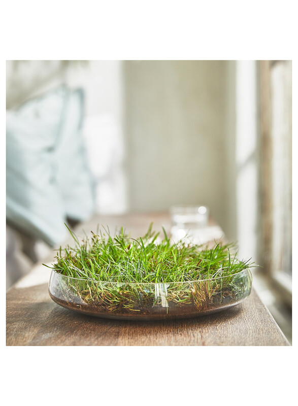 Scented candle in glass, Fresh grass/light green, 40 hr