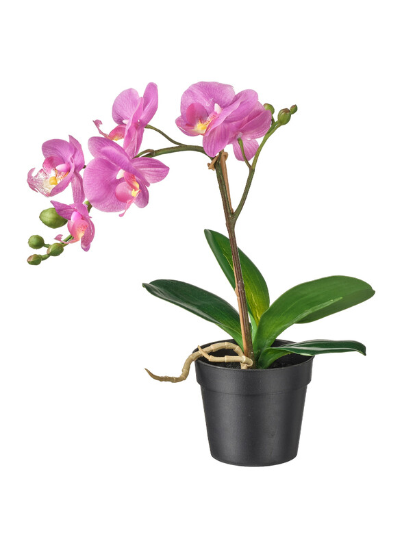 

FEJKA Artificial potted plant, Orchid lilac, 9 cm