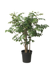 Artificial potted plant, in/outdoor red sandalwood, 19 cm