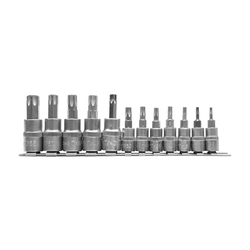 YATO Socket Bit 12pcs/set Torx (T8-T55) L 35mm (1/4") & L 50mm (3/8") YT-04331