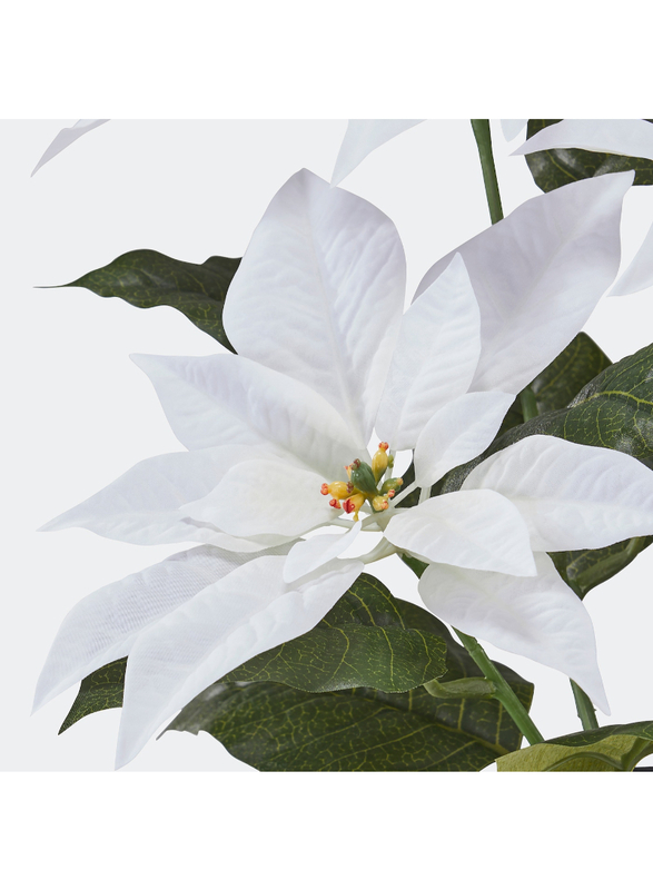 Artificial potted plant, in/outdoor Poinsettia/white, 12 cm