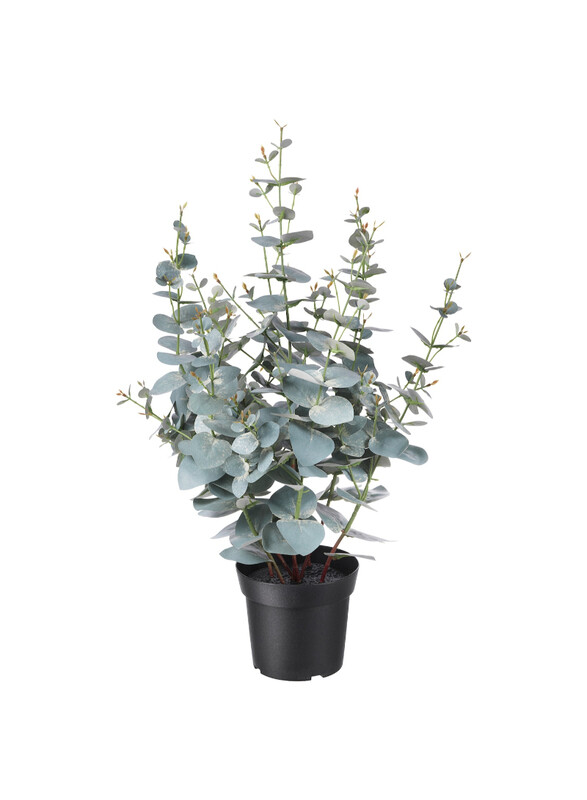 

FEJKA Artificial potted plant, in/outdoor eucalyptus, 15 cm