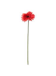 Artificial flower, Gerbera/red, 50 cm